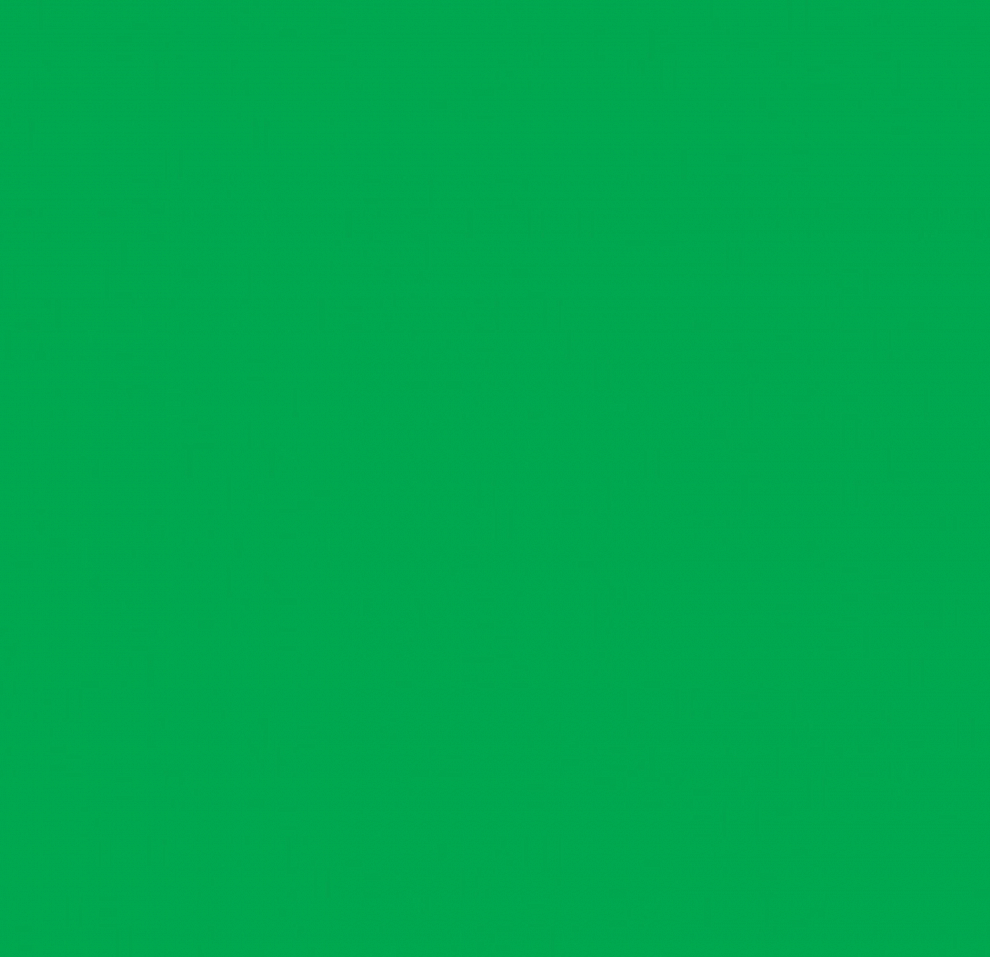 200-2423 Самоклейка D-C-FIX 0.45х15м св.зеленый глянц