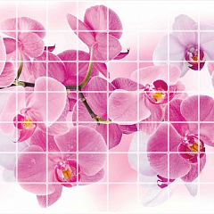 ЛП Орхидея Розея Мозаика листовая панель 957*482,02 мм (10) GRACE