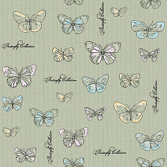 Бабочки 04 Саратов Дуплекс (12) сал