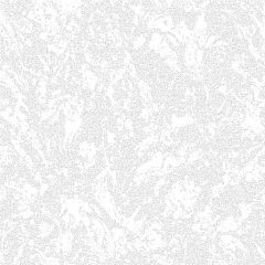 Снежный 02 Саратов Дуплекс (12) бел потолок (антарктида)