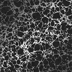 Венера 61019 Гомель Фокс Винил (12) черн мрамор