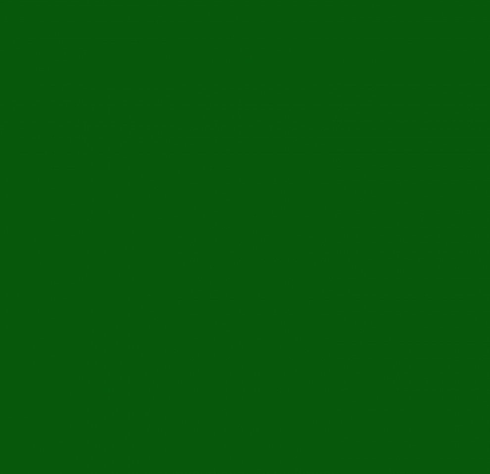 2016*24 Самоклейка HONGDA 0,45*8м темно-зеленый