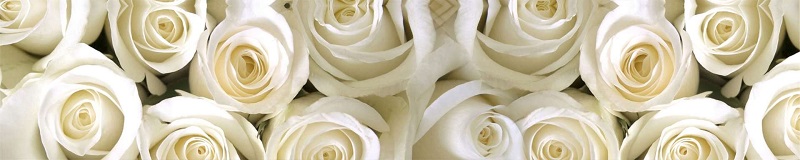Фартук Белые Розы Декоративная панель 3*0,6м