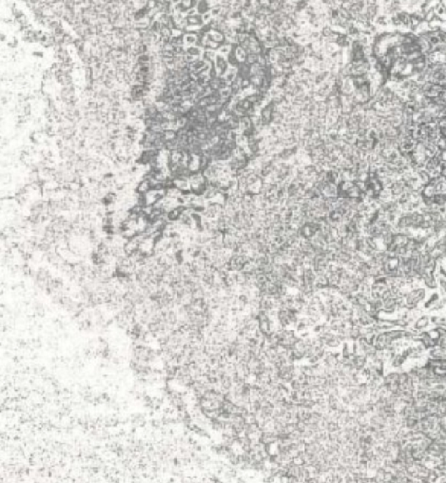 Самоклеящая пленка HONGDA  2031*12  0,9*8м  Серебро