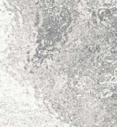 Самоклеящая пленка HONGDA  2031*12  0,67*8м  Серебро