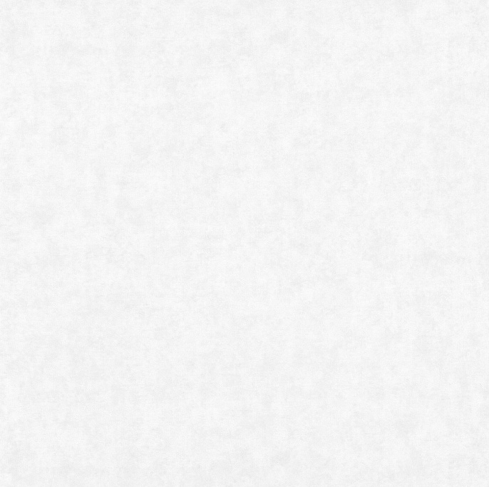 Титан 2021-61 Обои Винил Ф11-10 1,06х10м (9) беж