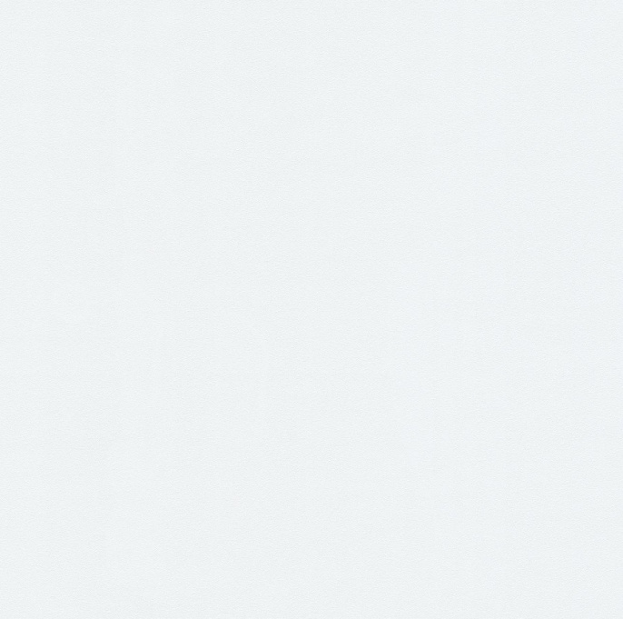 Обои Home Color HC71822-11 (1,06*10)