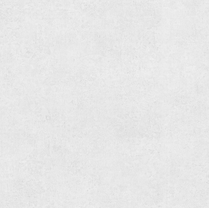 72266-14PL Обои Palitra 1,06х10м (6) серые, фон, компаньон 72265-14