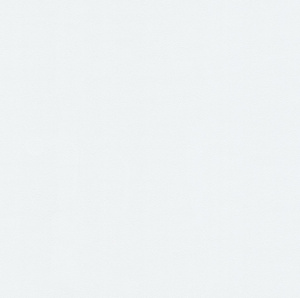 Обои Home Color HC71822-11 (1,06*10)
