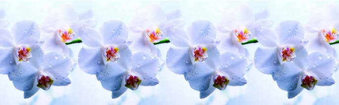 Фартук Голубая Орхидея Декоративная панель 3*0,6м в