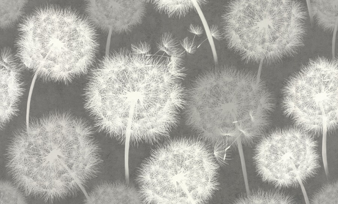 70436-44 Обои Аспект 1,06х10м (6) темно-серые, одуванчик, компаньон 70437-44