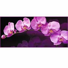Зеркальная орхидея Фотообои ТУЛА (6л)  в тубе