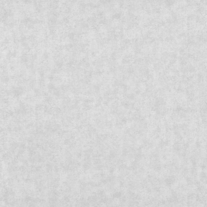 Титан 2021-21 Обои Винил Ф11-10 1,06х10м (9) сер