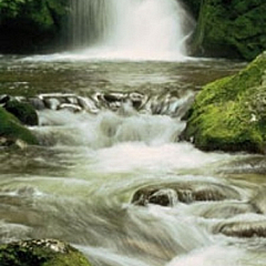 2-1047 Фотообои Коmar 97x220 водопад