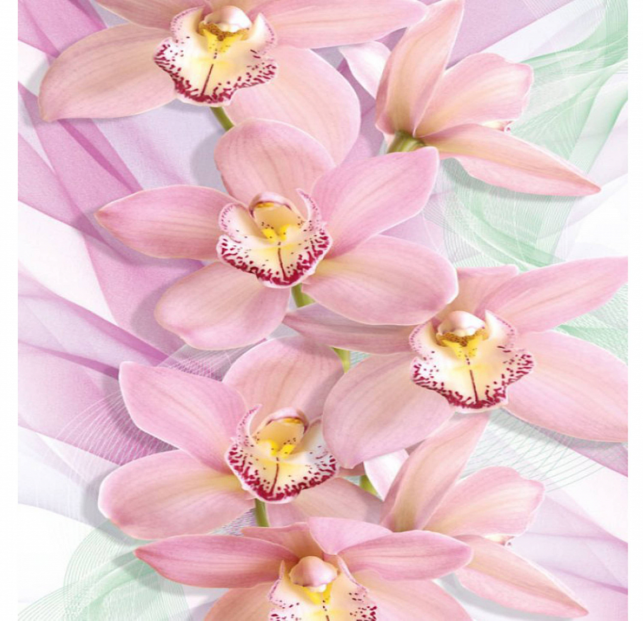 Орхидеи Фотообои Люкс (4л)