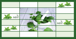 ЛП Мята панно Плитка листовая панель 955*480 мм (10) GRACE