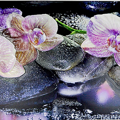 Фартук-панно Орхидея на камне 602*1002 мм 5 GRACE