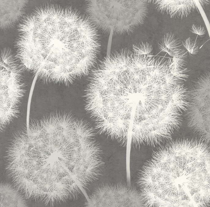 70436-44 Обои Аспект 1,06х10м (6) темно-серые, одуванчик, компаньон 70437-44