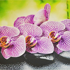 Фартук-панно Орхидея Ванда 600*1000 мм(5) GRACE