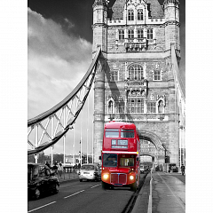 Лондон Фотообои ТУЛА (4л)