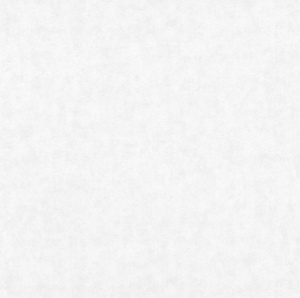 Титан 2021-61 Обои Винил Ф11-10 1,06х10м (9) беж